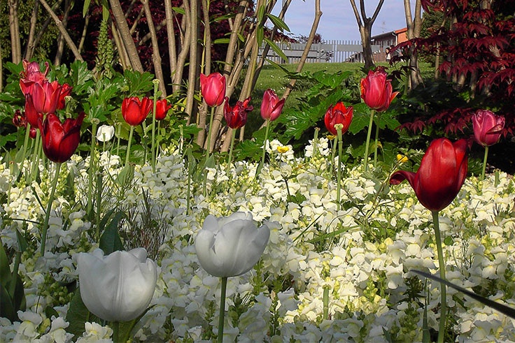 jardin botanico barakaldo