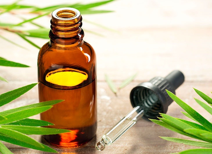Te presentamos los beneficios del aceite de árbol de té para la cara