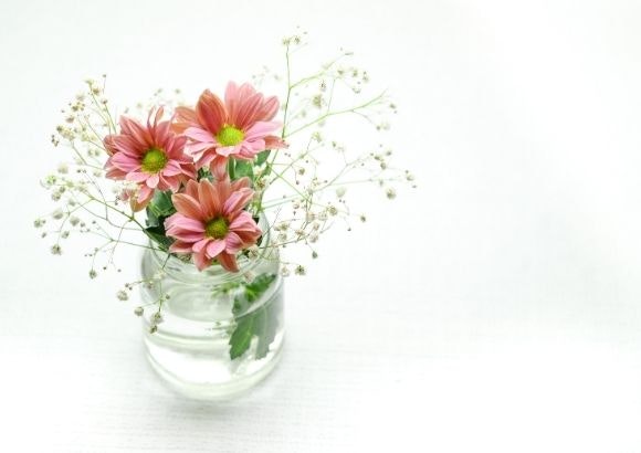 Las flores más bonitas de la primavera para decorar tu hogar