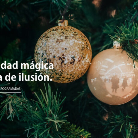 Programa de Actividades Navideñas