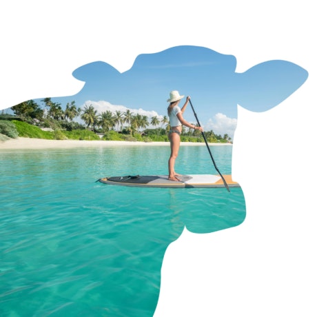 ¡Planifica tus «vacas» con Halcón Viajes!