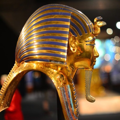 Exposiciones Bodies Evolution y Egipto | Max Center